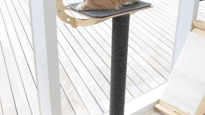 냥집사 필독! Monello고양이 꿀팁 & 할인 정보 대방출 😻